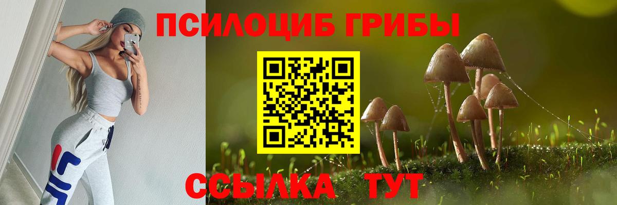 Галлюциногенные грибы Psilocybine cubensis Алексеевка